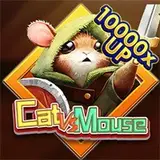 Cat VS Mouse