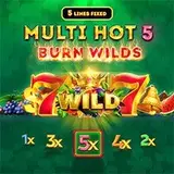 Multi Hot 5 Burn Wilds